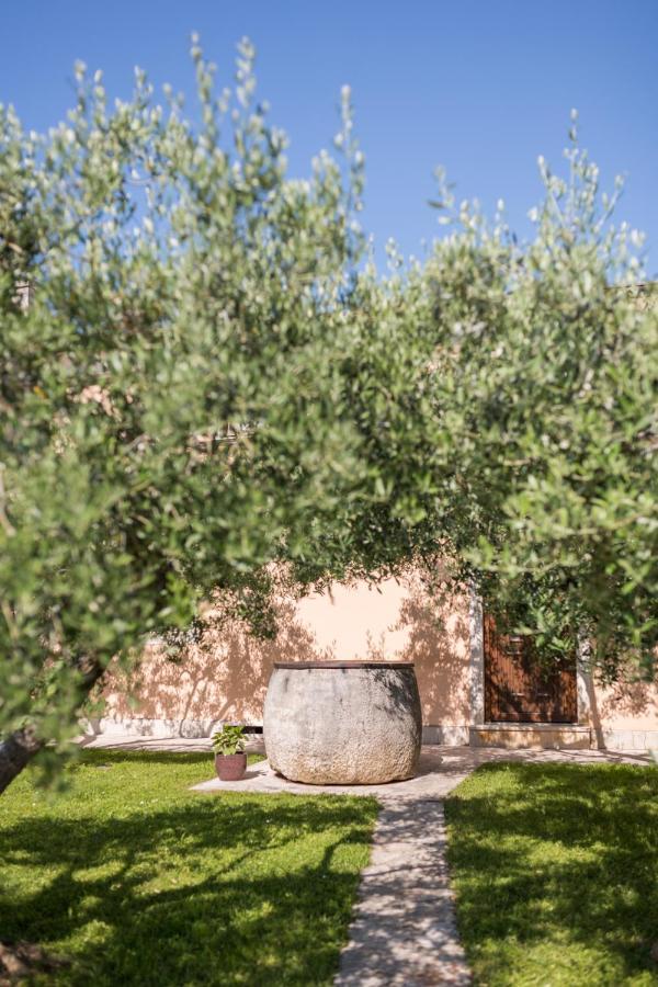 Bb Olive Bed & Breakfast Seget  Bagian luar foto
